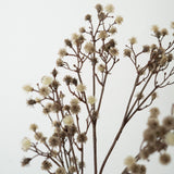 Stem Flowers