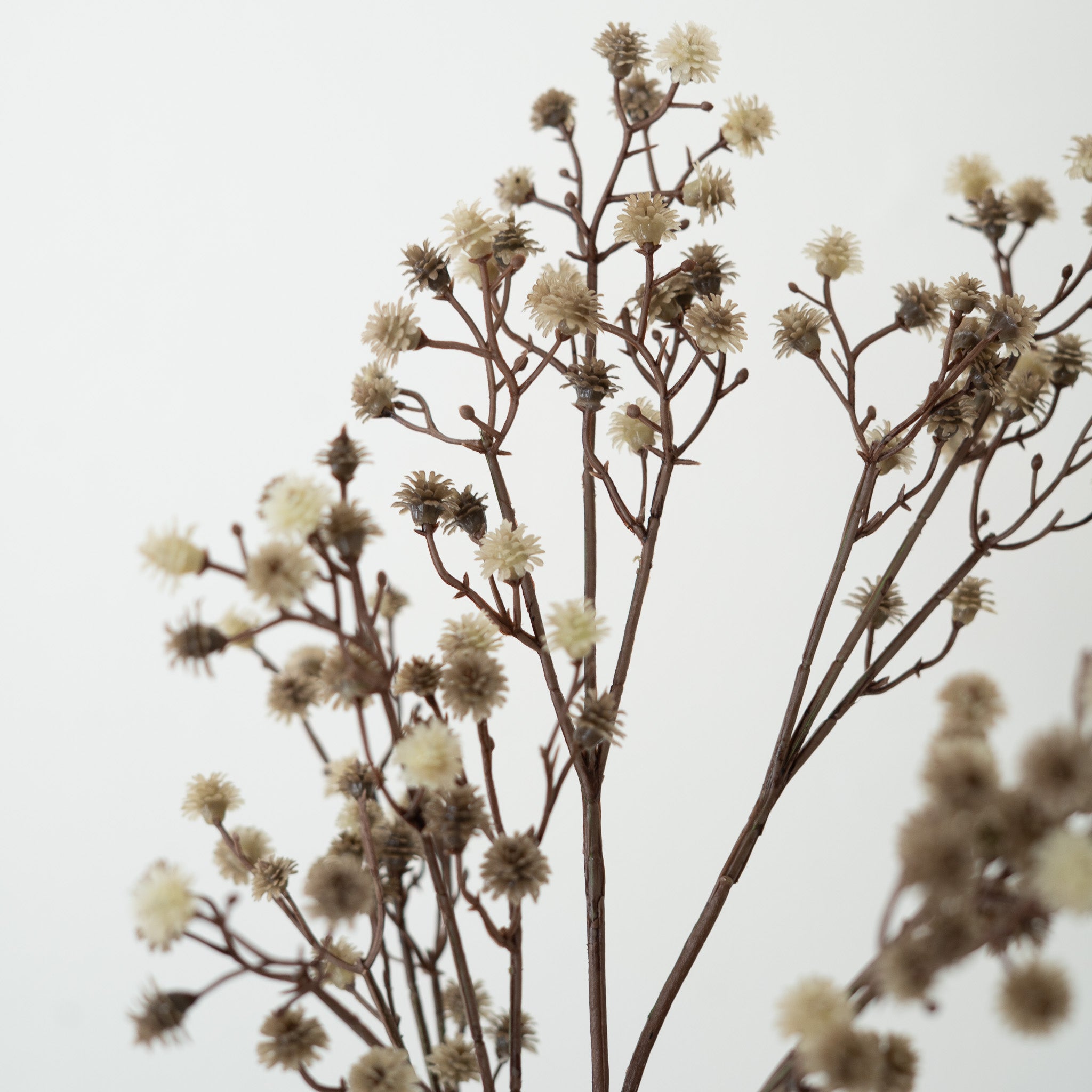 Stem Flowers