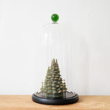 Decorative Glass Fluted Cloche