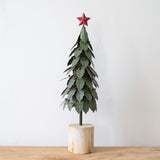 Holly Tree on Log Base