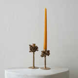 Metal Taper Holder with Wire Clusters