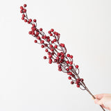 Red Berries Spray Branch