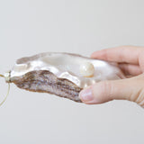 Oyster with Pearl Ornament