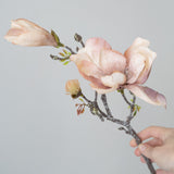 Magnolia Branch