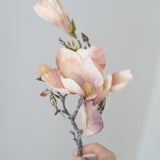 Magnolia Branch