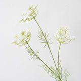 Queen Anne's Lace Spray