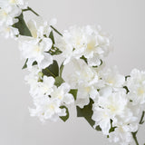 Flowering Cherry Blossom Branch