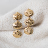 Shell Earrings