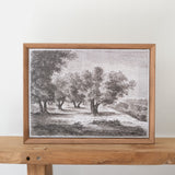 Olive Tree Framed Canvas