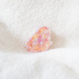 Scallop Hair Claw Clip