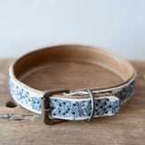 Nova Embroidered Dog Collar