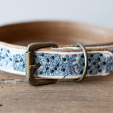 Nova Embroidered Dog Collar
