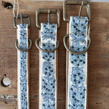 Nova Embroidered Dog Collar