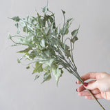 Green Ivy Spray