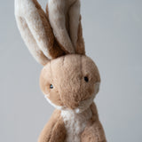 Horticus Hare