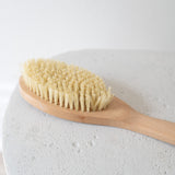 Long Handle Dry Body Brush
