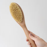 Long Handle Dry Body Brush