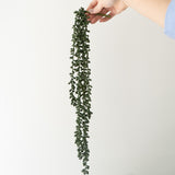 Forever Sedum Spray