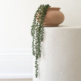 Forever Sedum Spray