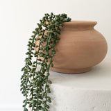 Forever Sedum Spray