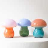 Portable Mushy Lamp