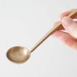 Aged Iron Long Spoon