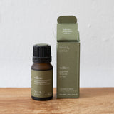 Willow Essential Oil