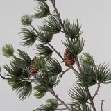 Alpine Larch Sprig