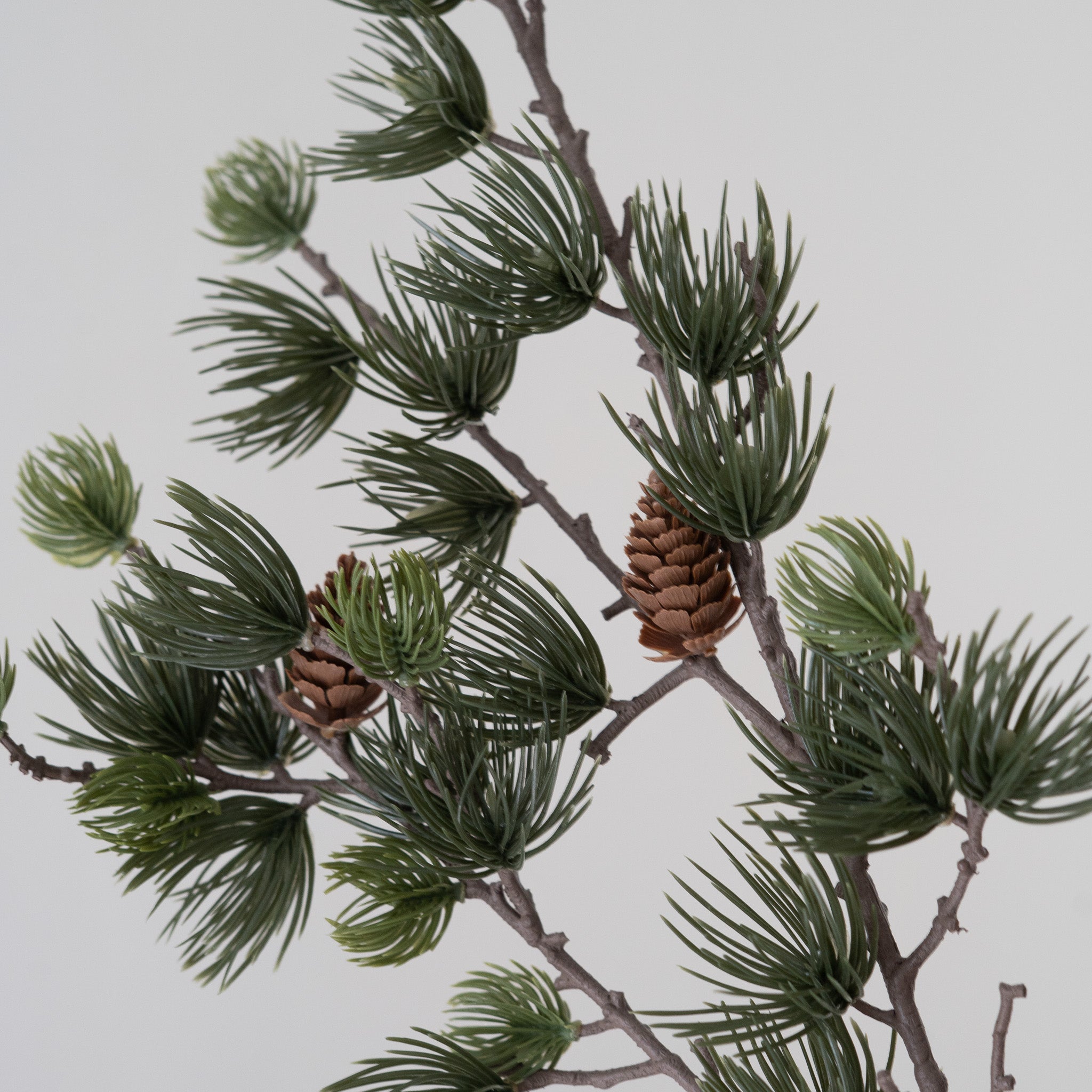 Alpine Larch Sprig