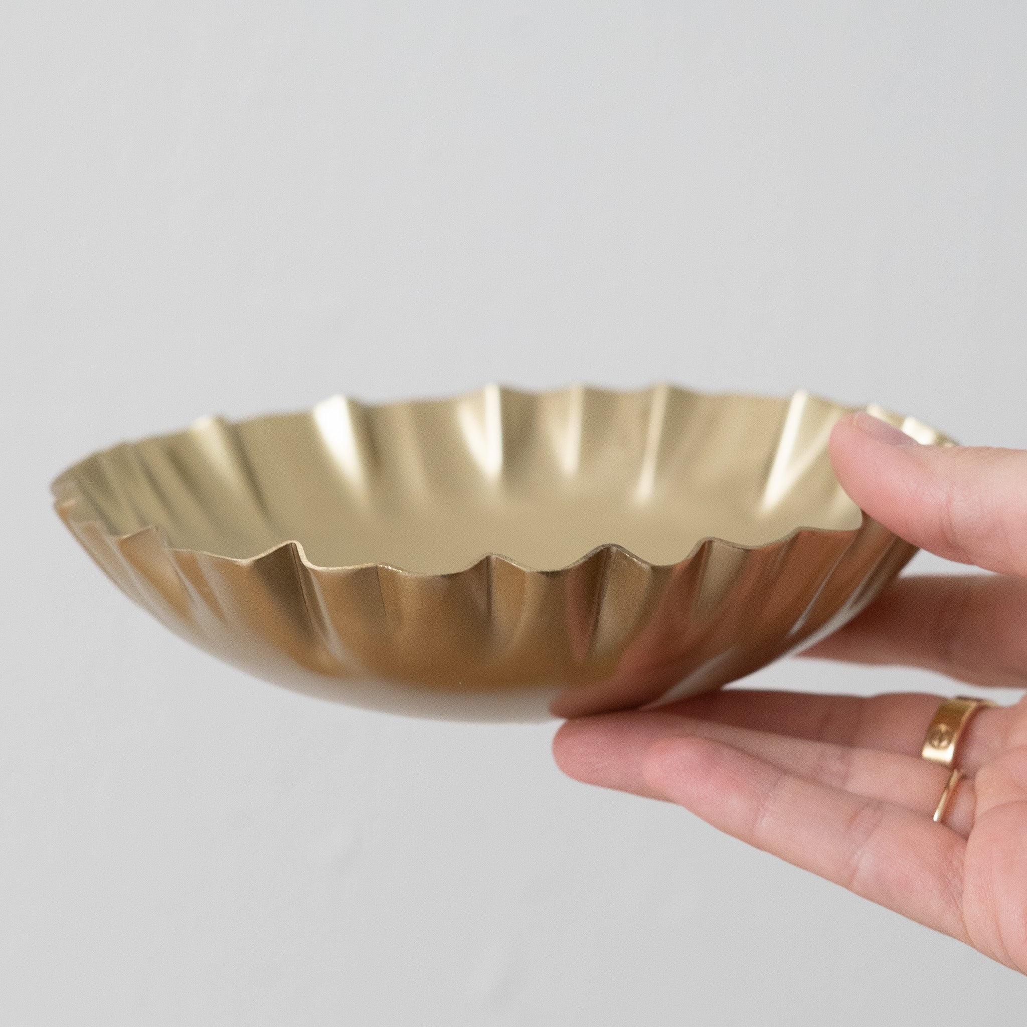 Aurelia Iron Bowls Set of 2