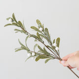 Medium Mistletoe Branch
