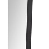 Nasua Mirror
