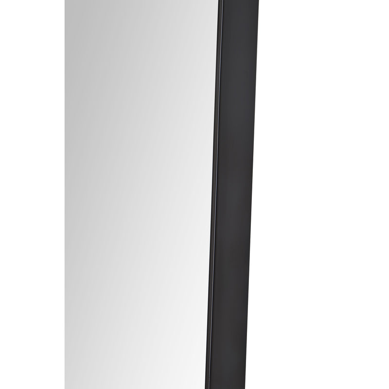 Nasua Mirror