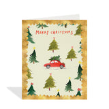 Assorted Season's Greetings - Pack of 6