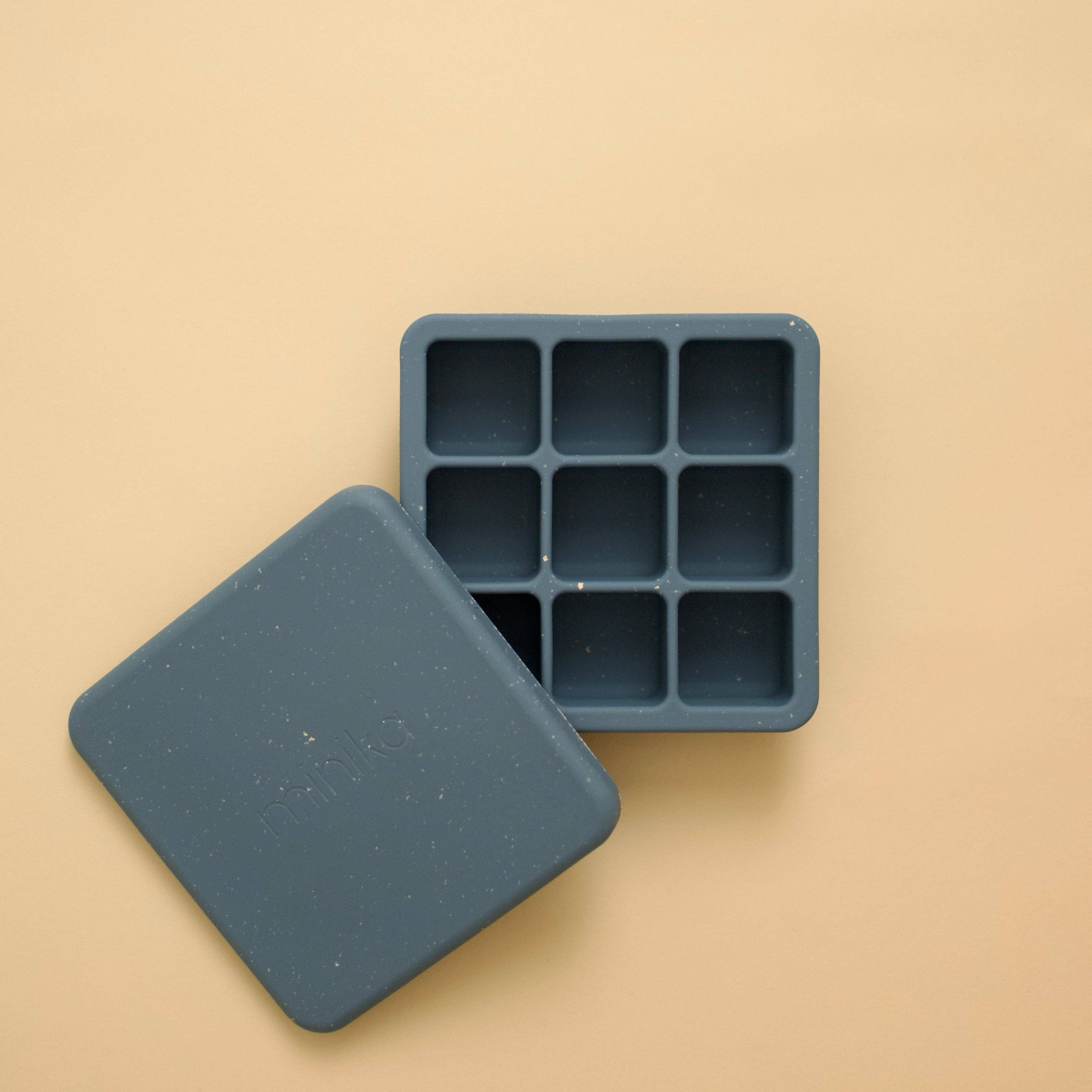 Food Freezer Tray