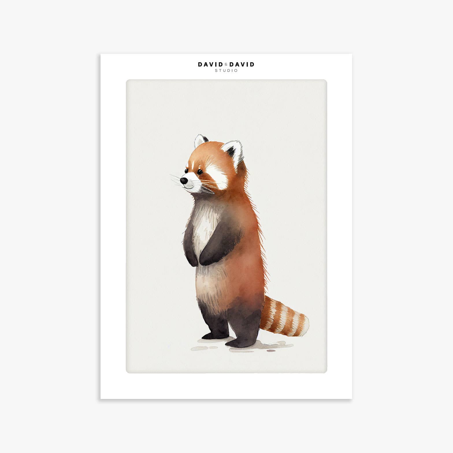 Baby Red Panda Art Print