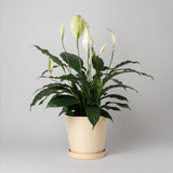 Tapered Planter Pot