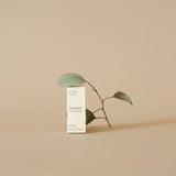 Eucalyptus Essential Oil
