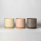 9” Planter & Saucer