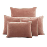 New Delhi Decorative Pillow