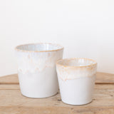 White Lagoon Cup