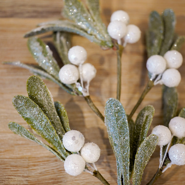 Small Mistletoe Cluster