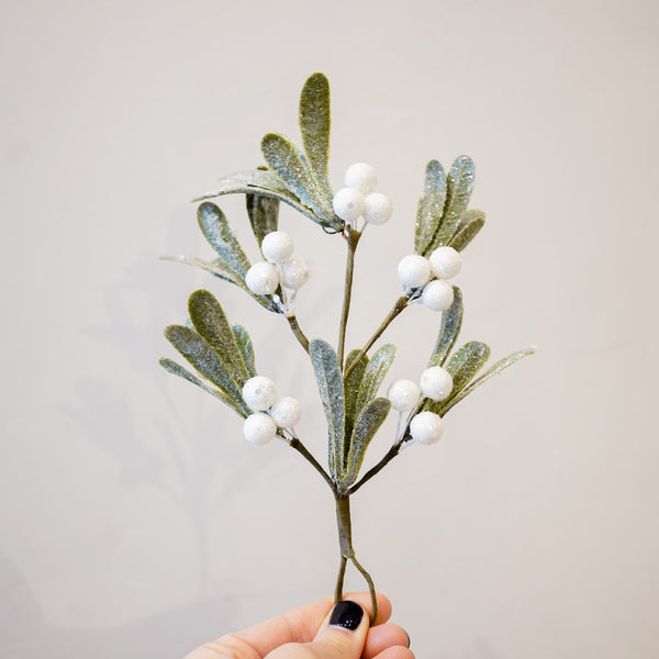 Small Mistletoe Cluster