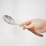 Alpia Pierced Serving Spoon