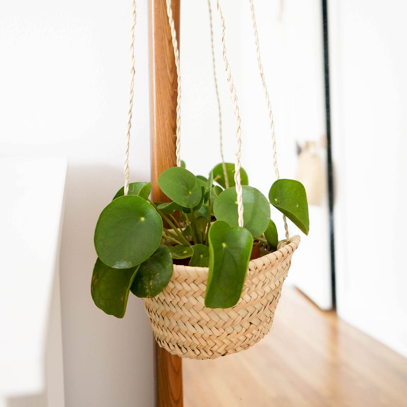 small woven straw hanging planter