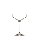 Verona Champagne Coupe